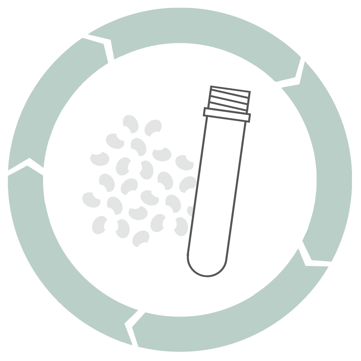 PET-Rohling aus Granulat