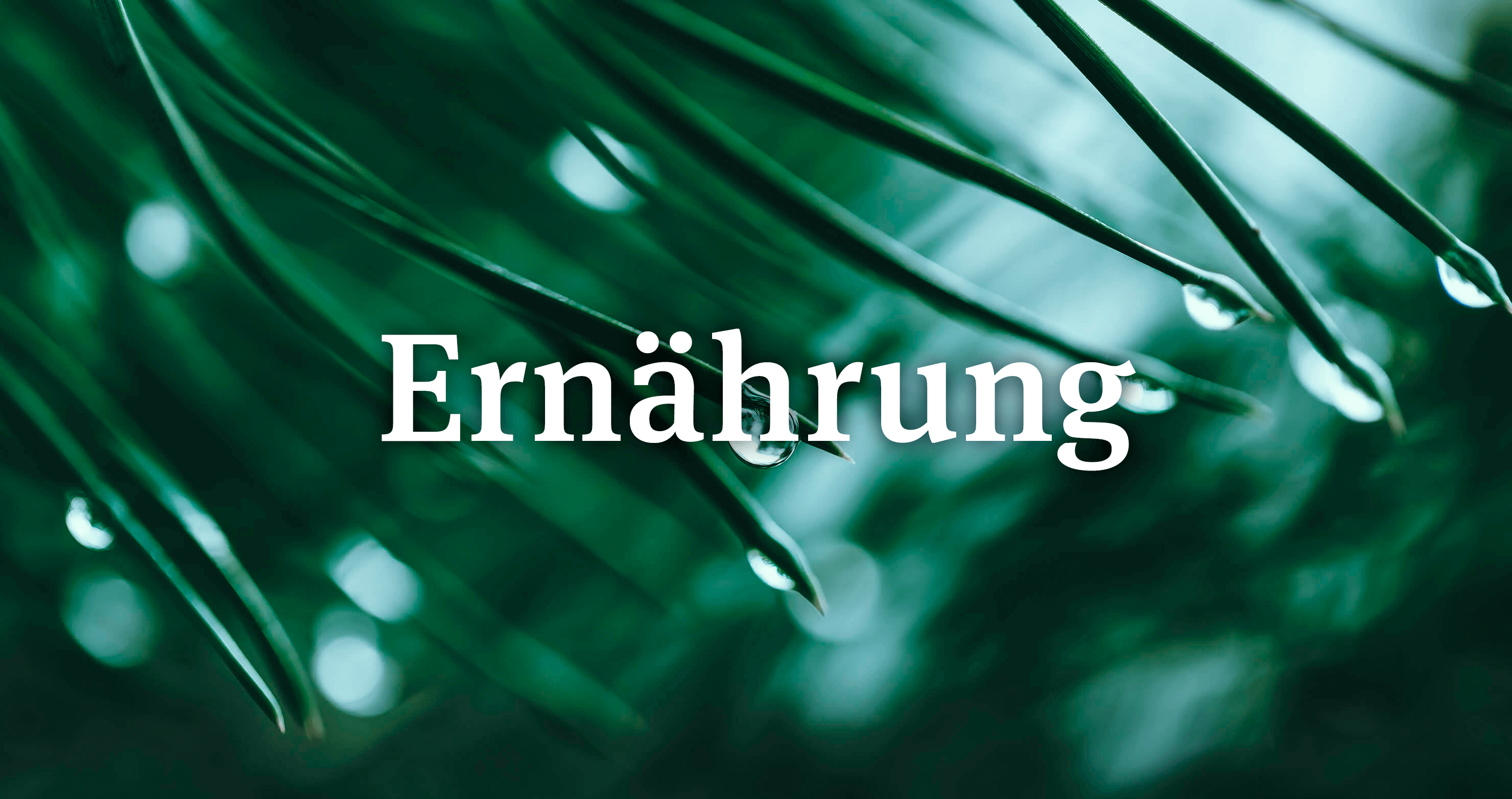 Ernährung